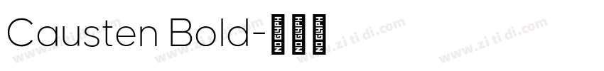 Causten Bold字体转换